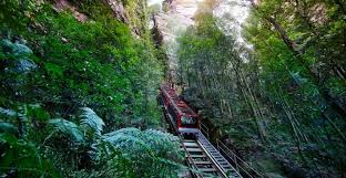 From Sydney: Blue Mountains, Scenic World All Inclusive Tour | GetYourGuide